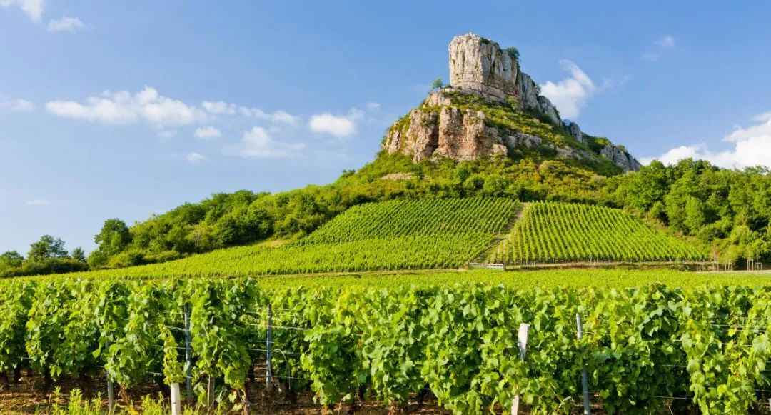 Roche de Solutré: A Prehistoric Monolith Rising Over Burgundy’s Vineyards